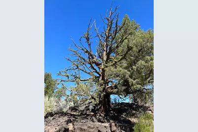 22957 Ghost Tree Lane #333, Bend, OR 97701 - Photo 9