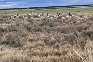 89048 W Campbell Dr, Christmas Valley, OR 97641 - Photo 3