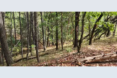 Pinecrest Drive, Grants Pass, OR 97526 - Photo 13