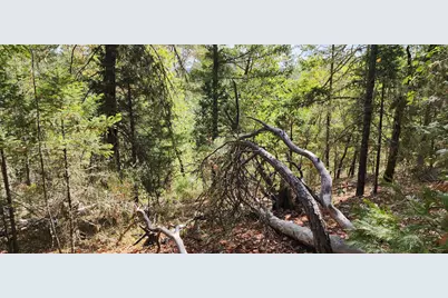 Pinecrest Drive, Grants Pass, OR 97526 - Photo 5