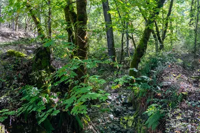 379 Savage Creek Road, Grants Pass, OR 97527 - Photo 29