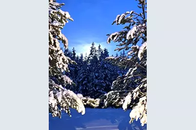 128226 Monk Lane, Crescent Lake, OR 97733 - Photo 19