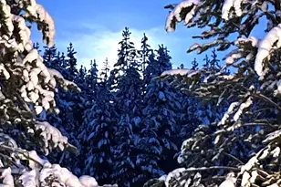 128226 Monk Ln, Crescent Lake, OR 97733 - Photo 19