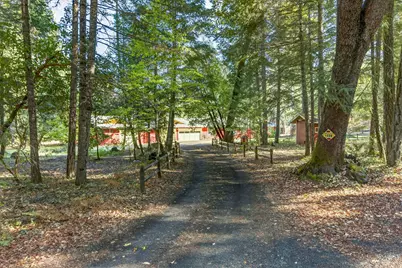 459 Fir Canyon Road, Grants Pass, OR 97527 - Photo 53