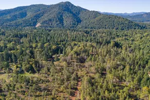 459 Fir Canyon Rd, Grants Pass, OR 97527 - Photo 67