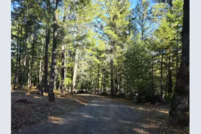 290 Crest Drive, Cave Junction, OR 97523 - Photo 13