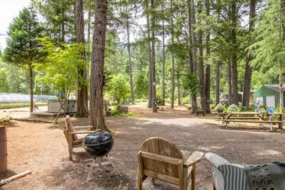 290 Crest Drive, Cave Junction, OR 97523 - Photo 5