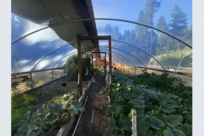 290 Crest Drive, Cave Junction, OR 97523 - Photo 7