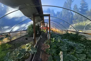 290 Crest Dr, Cave Junction, OR 97523 - Photo 7