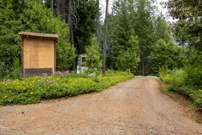 290 Crest Drive, Cave Junction, OR 97523 - Photo 19