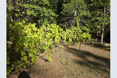 290 Crest Drive, Cave Junction, OR 97523 - Photo 13