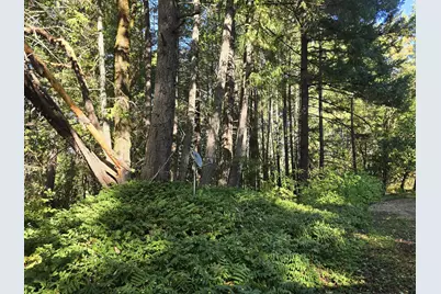 290 Crest Drive, Cave Junction, OR 97523 - Photo 17