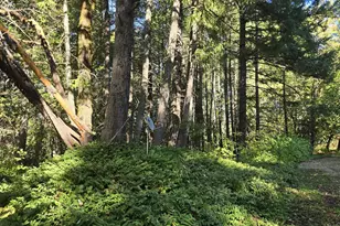 290 Crest Dr, Cave Junction, OR 97523 - Photo 17