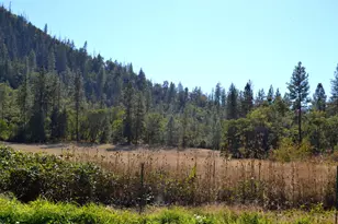 15950 Hwy 238, Applegate, OR 97530 - Photo 49