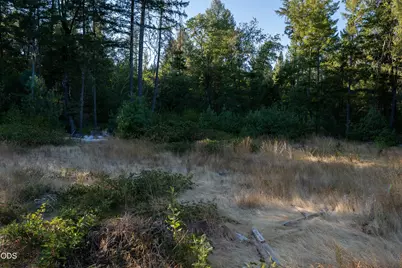 709 Pinewood Way, Cave Junction, OR 97523 - Photo 23