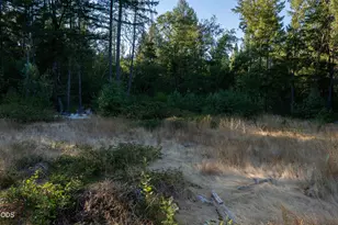 709 Pinewood Way, Cave Junction, OR 97523 - Photo 23