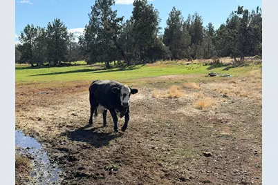 5910 NE 41st Street, Redmond, OR 97756 - Photo 13