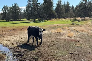 5910 NE 41st St, Redmond, OR 97756 - Photo 13