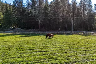 18200 Williams Hwy, Williams, OR 97544 - Photo 101