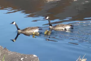 2937 Front St, Klamath Falls, OR 97601 - Photo 47