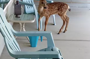 2937 Front St, Klamath Falls, OR 97601 - Photo 37