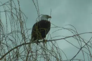 2937 Front St, Klamath Falls, OR 97601 - Photo 45