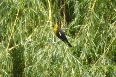 2937 Front Street, Klamath Falls, OR 97601 - Photo 49