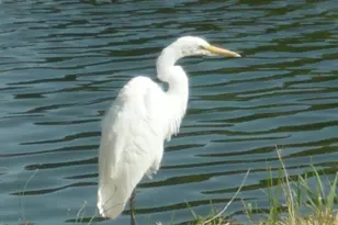 2937 Front St, Klamath Falls, OR 97601 - Photo 43