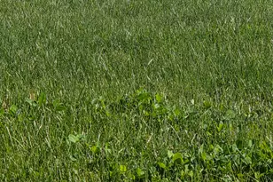 7056 SW Kent Ln, Culver, OR 97734 - Photo 65