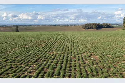 39986 Gisler Road, Scio, OR 97374 - Photo 7