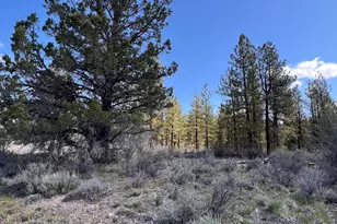 Glendale Dr, Beatty, OR 97621 - Photo 1