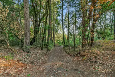 10665 Redwood Highway, Wilderville, OR 97543 - Photo 29