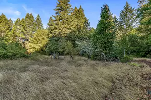 10665 Redwood Hwy, Wilderville, OR 97543 - Photo 31