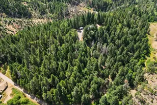 197 Gold Canyon Dr, Selma, OR 97538 - Photo 19