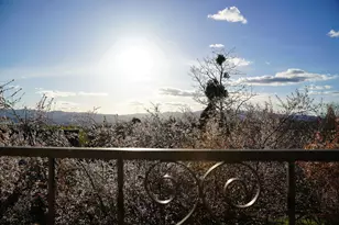 3676 Princeton Way, Medford, OR 97504 - Photo 47