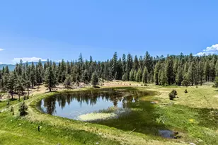 16799 Hwy 66, Ashland, OR 97520 - Photo 49