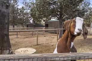 18495 Crawford Trail, Sisters, OR 97759 - Photo 87