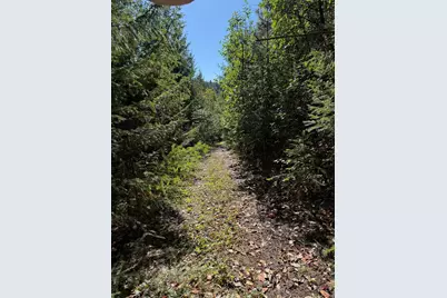 160 Birdseye Cr Road, Rogue River, OR 97537 - Photo 9