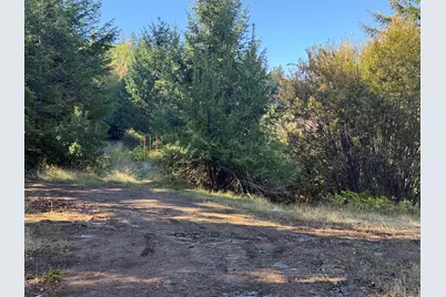 160 Birdseye Cr Road, Rogue River, OR 97537 - Photo 13