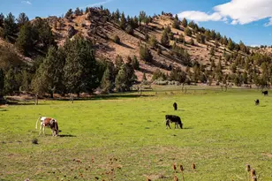 33084 Cougar Mountain Rd, Mitchell, OR 97750 - Photo 61