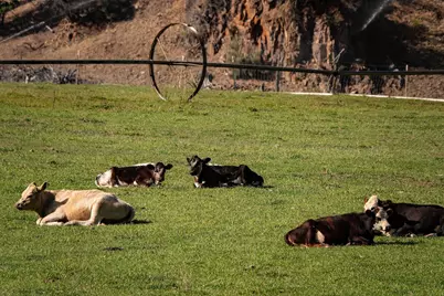 33084 Cougar Mountain Road, Mitchell, OR 97750 - Photo 13