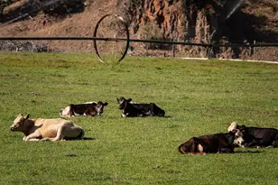 33084 Cougar Mountain Rd, Mitchell, OR 97750 - Photo 13