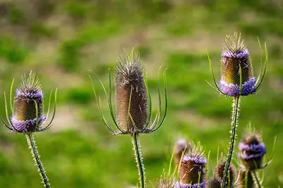 33084 Cougar Mountain Road, Mitchell, OR 97750 - Photo 65