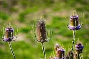 33084 Cougar Mountain Rd, Mitchell, OR 97750 - Photo 65