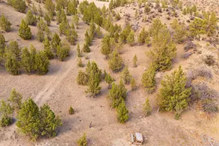 33084 Cougar Mountain Rd, Mitchell, OR 97750 - Photo 55