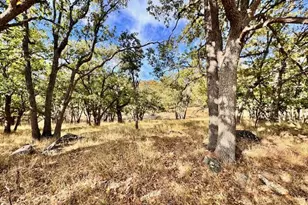 271 Cove Rd, Ashland, OR 97520 - Photo 9