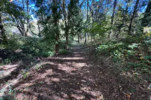 12330 E Evans Creek Rd, Rogue River, OR 97537 - Photo 79