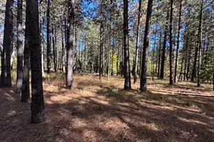 12330 E Evans Creek Rd, Rogue River, OR 97537 - Photo 83