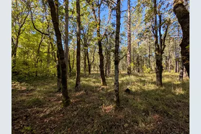 1080 Ferry Road, Grants Pass, OR 97526 - Photo 33