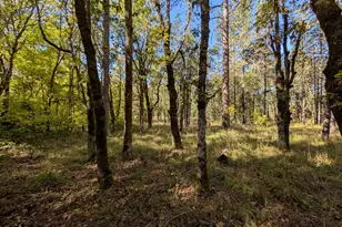 1080 Ferry Rd, Grants Pass, OR 97526 - Photo 35